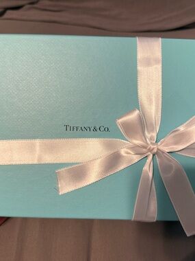 Tiffany & Co. Robin's Egg Blue Box with White Satin Bow